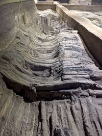 Close-up of tree stump