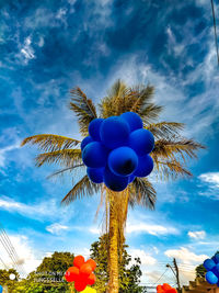 Low angle view of coconut palm tree against blue sky