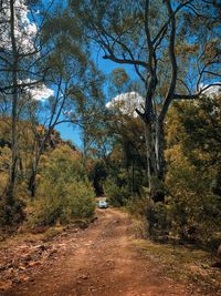 Road amidst trees in forest against sky