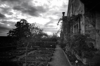 Steps by trees against sky