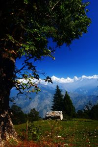 Scenic view of trees and mountains against blue sky