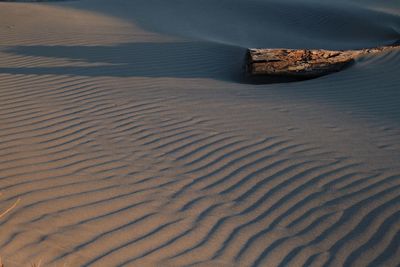 Scenic view of sand at beach against sky