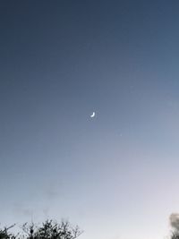 Low angle view of moon in sky at night