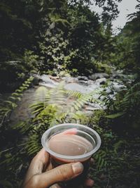 Cropped image of person holding coffee