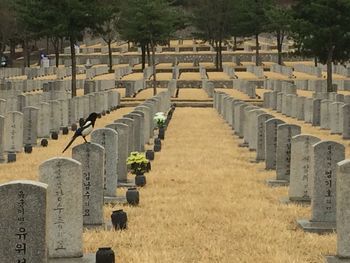 High angle view of cemetery