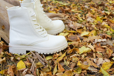 White fashion leather boots and scarf in natural outdoor setting autumn leaves background