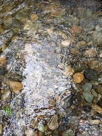 Rocks in water