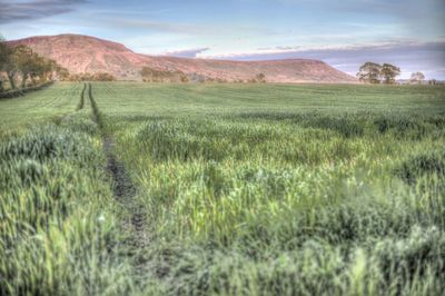 Scenic view of landscape against sky