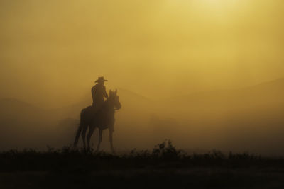 Silhouette man riding horse on field against sky during sunset