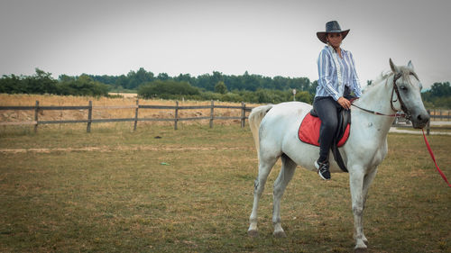 Horse standing on field