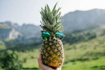 Cropped image of hand holding pineapple against mountains