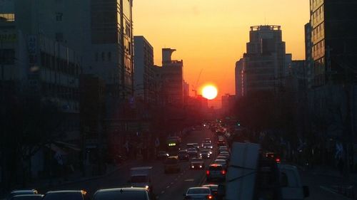 Cars on street in city during sunset