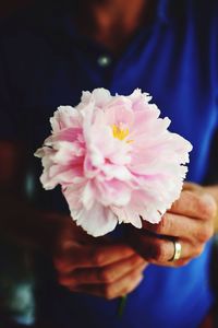 Close-up of hand holding flower