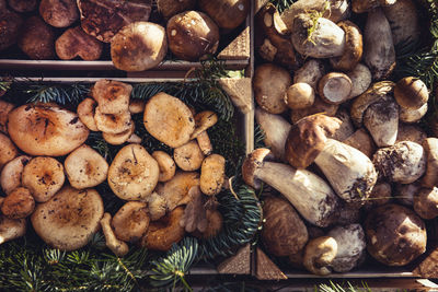 High angle view of mushrooms in basket