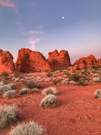 Rock formations in a desert