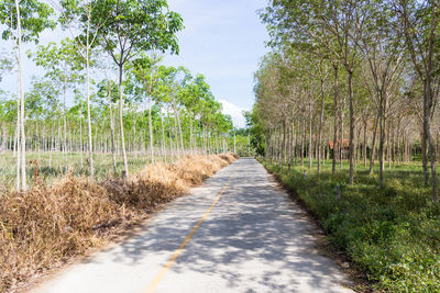 Empty road amidst trees on field against sky