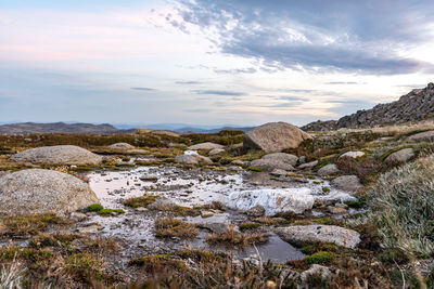 Moody evening shot of an alpine pond near the summit of mount kosciuszko,new south wales, australia.