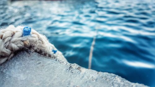 Close-up of rope on retaining wall by water