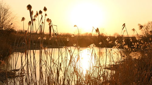 Scenic view of lake against sky during sunset