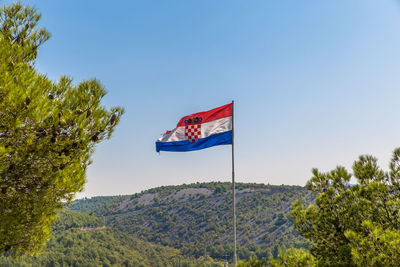 Low angle view of flag amidst plants against clear blue sky