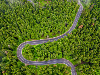 High angle view of agricultural field