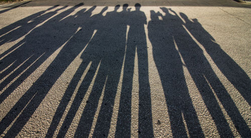 Photographers long shadows