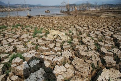 Surface level of stones on field against sky