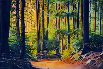 Close-up of bamboo trees in forest