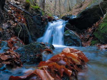 Scenic view of waterfall in forest