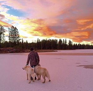 View of landscape against cloudy sky at sunset