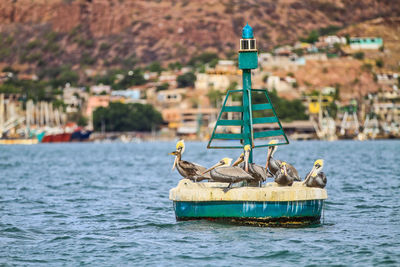 Boat in a sea