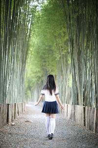 Rear view of woman standing amidst bamboo groove