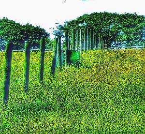 Scenic view of field against clear sky