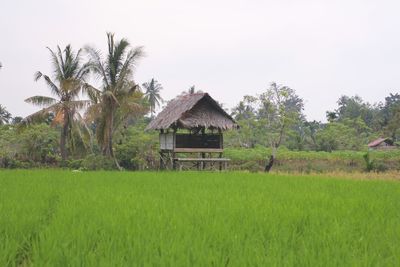 House on field by trees against sky