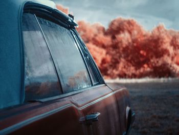 Close-up of car window