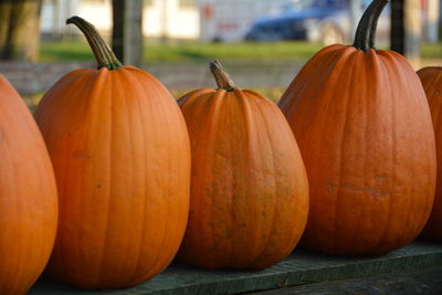 Close-up of pumpkin