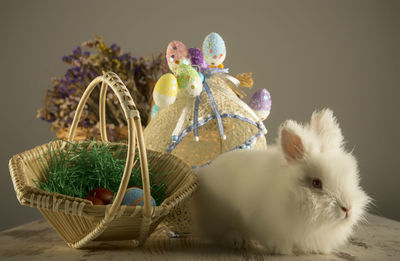 Rabbit and easter decorations on table against wall