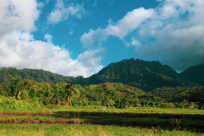 Scenic view of landscape and mountains against sky