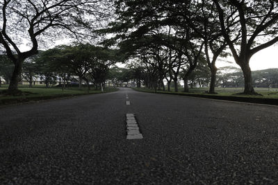 Road amidst bare trees against sky