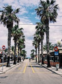 Palm trees by road in city against sky