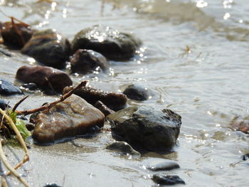 Rocks on beach