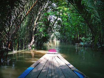 Scenic view from a boat on the mekong delta