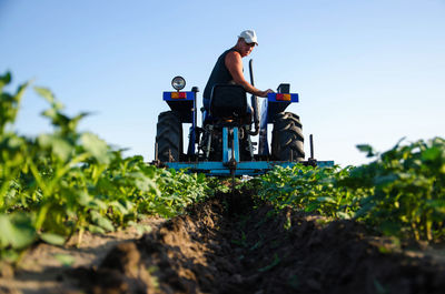 A farmer on a tractor cultivates a potato plantation. agroindustry and agribusiness. cultivation