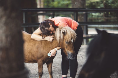 Close-up of horse