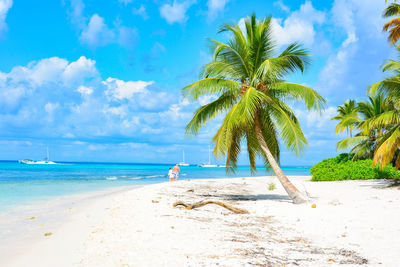 Trees growing at beach against cloudy sky