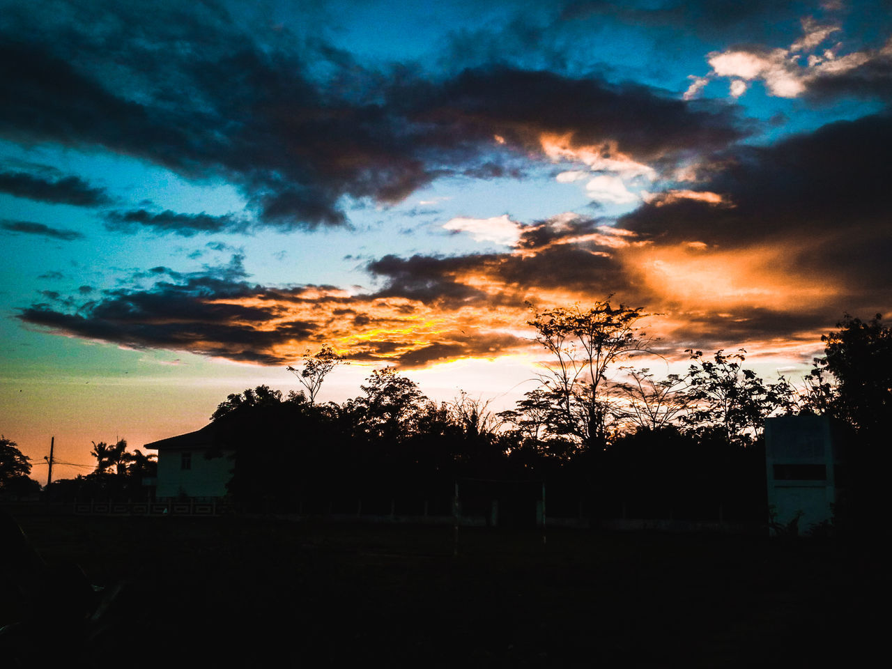 SILHOUETTE TREES ON FIELD AGAINST DRAMATIC SKY