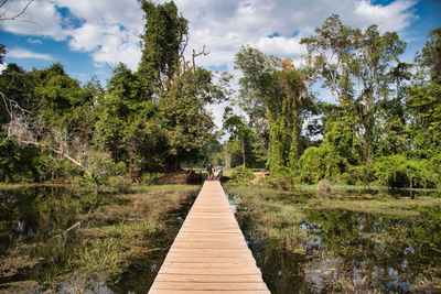 Footbridge amidst trees in forest against sky