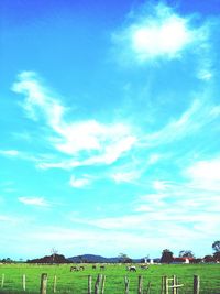 Scenic view of grassy field against cloudy sky