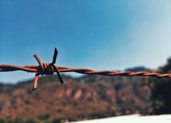 Close-up of barbed wire against clear sky