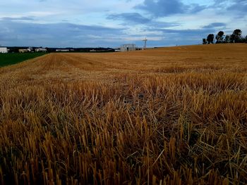 Scenic view of agricultural field against sky